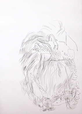 Stefanie Salzburger: “o.T“ | 2011 |  Bleistift auf Papier | 59,4 x 84,1 cm