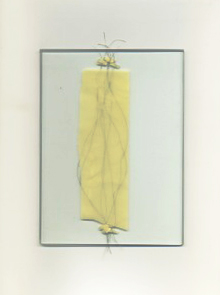 Judith Fegerl - Instrumente1_2013_Latex-Draht-Klebestreifen-Glas-Strom_13x18cm